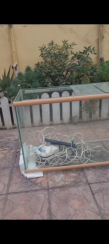 akvar: Şüşə akvarium komplekti - Material: qalın şüşə panellər, kənarlarda — 5