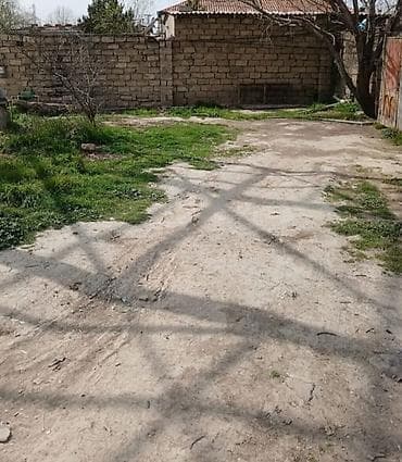 Satılır: Həyət evi və torpaq sahəsi - Tikili: bir mərtəbəli həyət — 4