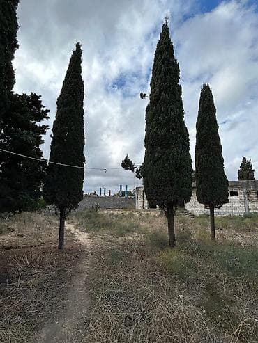 zirede torpaq: 24 sot, Tikinti, Mülkiyyətçi, Kupça (Çıxarış) — 8