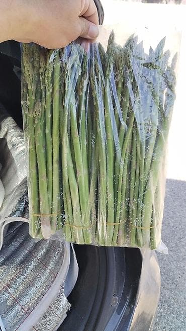 ad günü tort şekilleri: Məhsul: Qulançar Yaşıl #Asparaqus (sparja) – istixanada — 6