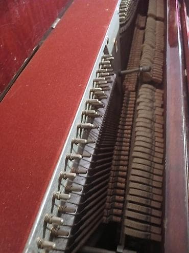 gitara klassik: Piano, Belarus, Akustik — 3