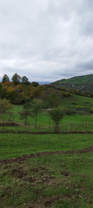 obyekt ucun torpaq: 55 sot, Kənd təsərrüfatı, Maklerlər narahat etməsin, Kupça (Çıxarış) — 4