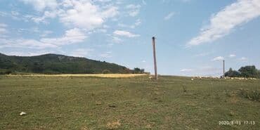 xırdalan kup: 150 sot, Mülkiyyətçi, Kupça (Çıxarış) — 2