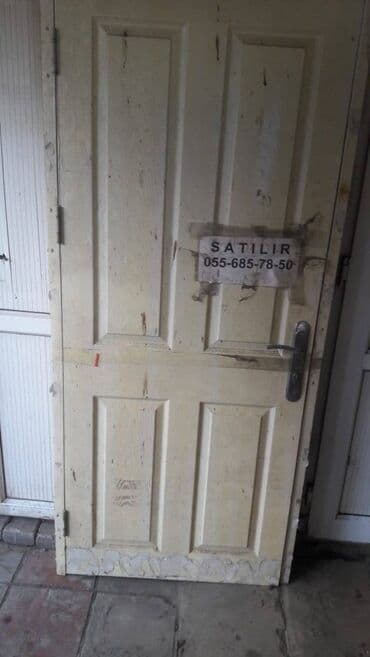 Otaq bitkiləri: 1 eded 80 azn — 2