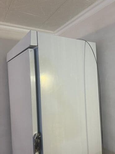 şkaf soyuducular: Peşəkar soyuducu şkaf - Şaquli tip, tək qapılı metal korpus - Daxildə — 3