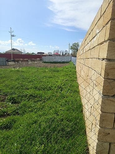 продажа дачных участков в баку: Для строительства, Возможен обмен, Купчая — 4