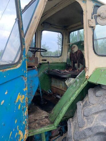 Alfa Romeo: Traktor motor 0.3 l, Yeni — 4