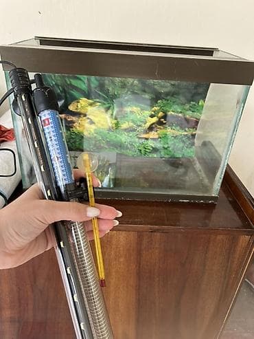 Heyvanlar: Akvaryum dəsti Eni 24 sm Uzunluq 45 sm Hündürlük 31 sm İsidici — 1