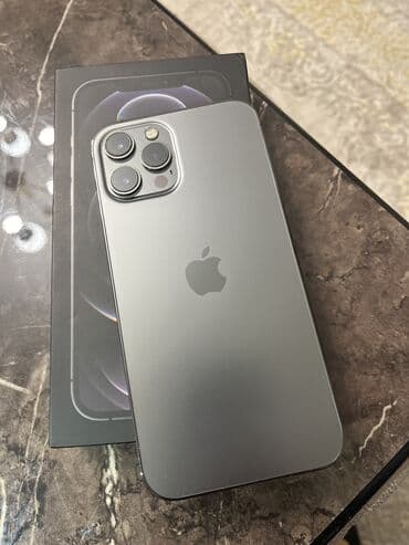IPhone 12 Pro Max, 256 GB, Graphite