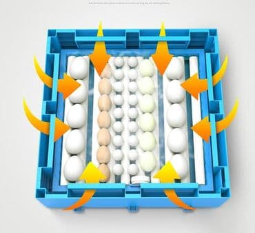 купить измельчитель сена бу: 100 yumurta, Çin, Fabrik istehsalı, Tam avtomat, Bütün növ quşlaq üçün — 5