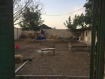 Biznes üçün avadanlıq: Quşçuluq təsərrüfatı və yardımçı yaşayış sahəsi - Geniş həyətyanı — 9