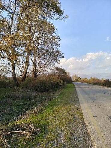 bunud torpaq: 24 sot Qaz, İşıq, Su — 5