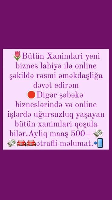 Охрана, безопасность: Bütün xanımlar yeni biznes layihəsi ilə onlayn şəkildə rəsmi — 1
