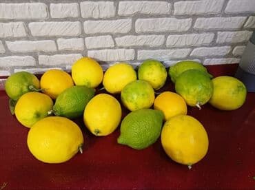 Turşular: Salam Lənkəran limonu satılır meri 60 qəpik yerli limon 80 qəpik çox — 1