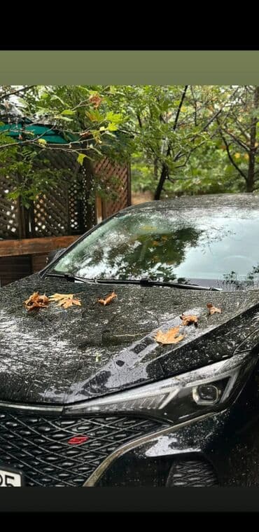 rustavi masin bazari 2022: Masin kiritide hazir tecili satilir — 7