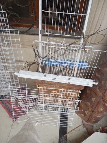 Mağaza arabaları: Vitrin esyalari 2 sandiq 6 eded setqa ayaqqabi asqilari divara vitrin — 4