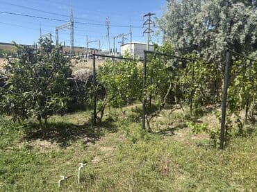 abşeron inşaat: 3 соток, Для строительства, Собственник — 3