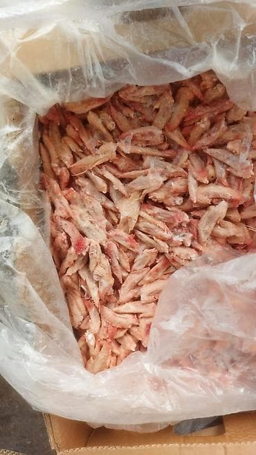 kfc elaqe nomresi: Məhsul Dondurulmuş toyuq sümükləri və farş heyvan sevenler ucun — 2