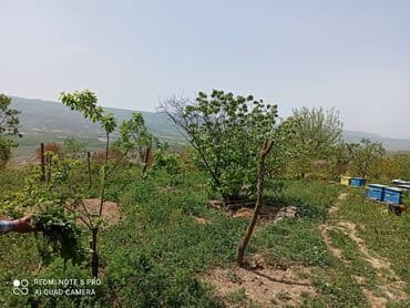 evlər: 4 otaqlı, 50 kv. m, Kredit yoxdur, Yeni təmirli — 11