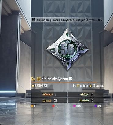 xp qizil: 23 yukseltme sılah 71 destandı 1 x suıt 2 sv Akm kod krıcı 4 sv M762 — 2