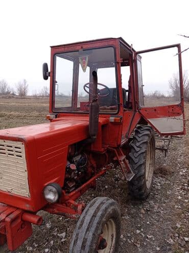 csb traktor: Traktor Belarus (MTZ) T25, 1986 il, 12345 at gücü, motor 9.9 l, İşlənmiş — 4