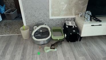 Pişik üçün tam aksesuar dəsti - Yumşaq, qapalı tip yuva: içəridə asma