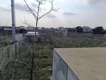 24 sot, Kupça (Çıxarış) — 5
