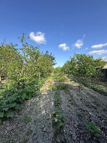 bine savxozda satilan heyet evleri: 18 sot torpağ tam satılırhissə -hissədə satılır razılaşma yolu ilə — 3