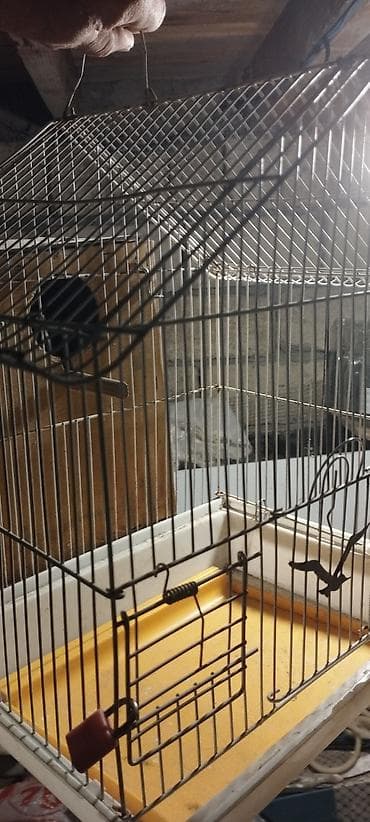 Quş qəfəsi - Material: metal barmaqlıqlar, plastik altlıq və tepsi -