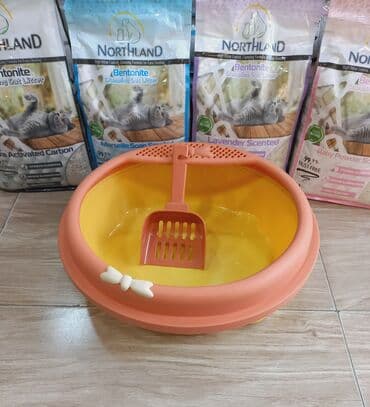 chappi it yemi: Məhsul: Pişik tualeti və örtülü pişik tualet kabinləri (bir neçə — 3