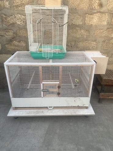 Gəmiricilər: Quş qəfəsləri və yuvalıq dəsti - Böyük volyer tipli qəfəs: Ön və — 2