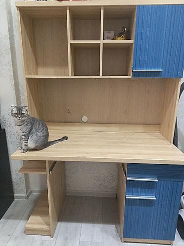 Düz masa, Polkalı, Siyirməli, Teksturalı laminat, Zəmanətsiz, Kredit yoxdur