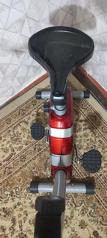 Digər idman və istirahət malları: Maqnitik velotrenajor - Rəng: qırmızı/gümüşü korpus - Maqnitik — 1