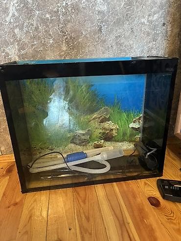 Akvariumlar: Dördbucaq akvarium, Boş, 75 l — 1