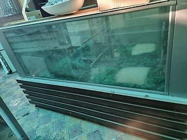 Soyuducu avadanlığı: Ət üçün, 136 * 230 * 65, İşlənmiş — 2