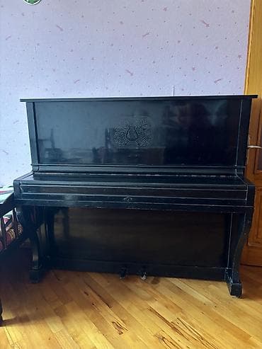 real gitara: Belarus piano, işlək vəziyyətdədir, səsi güclüdür, real alıcıya — 4