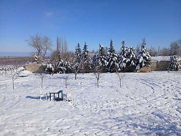 ivanovkada satilan evler: 16 sot, Tikinti, Mülkiyyətçi, Kupça (Çıxarış) — 2