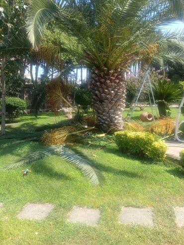 Digər tikinti xidmətləri: Ummi abadliq xidmeti torpaq lazmdisa torpaq getrib yaymaq duždeşdirib — 1