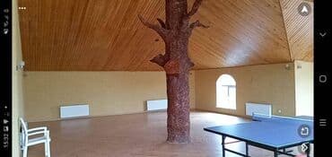 ev certiyojları: 6 otaqlı, 500 kv. m, Yeni təmirli — 22