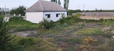 ucar: 30 sot, Biznes üçün, Mülkiyyətçi, Kupça (Çıxarış) — 3