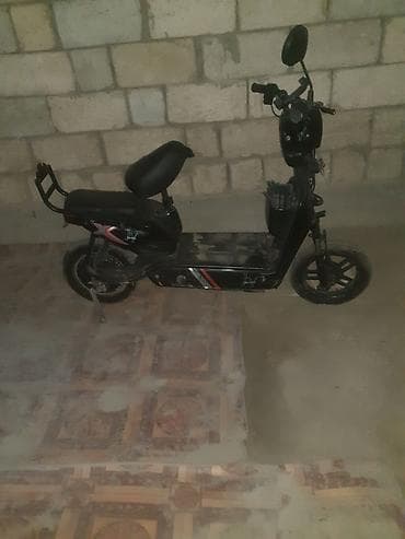 Nicat0553807082