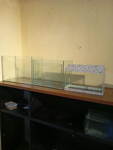 akvarium baliqi: Şüşə akvariumlar dəsti YENİ - 3 ədəd fərqli ölçüdə şüşə akvarium. - — 2