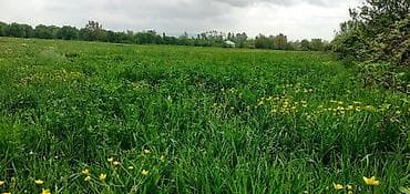 tap az kiraye evler memar ecemi: 150 sot, Biznes üçün, Mülkiyyətçi, Kupça (Çıxarış) — 2