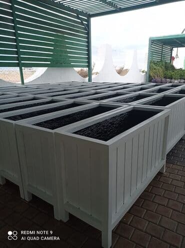 dibçek gulleri: Dibçək güldanlar. Dipçəklər bir başa sexdən.Sex qiymətinə. ♦️Endrim — 7