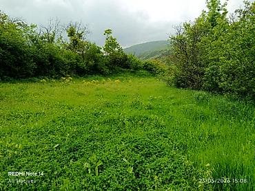 topaq: 8 sot, Tikinti, Makler, Kupça (Çıxarış) — 6