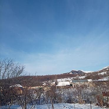 torpaq yeri: Tikinti, Mülkiyyətçi, Kupça (Çıxarış) — 2