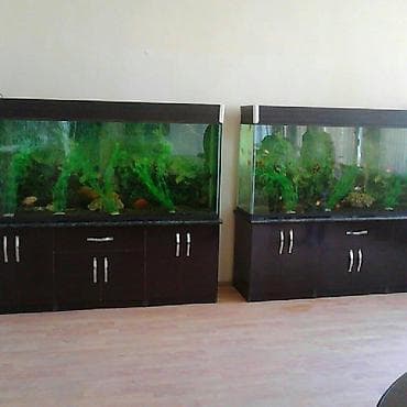 cat: Akvarium-şkaf, 1000 l, Pulsuz çatdırılma — 5