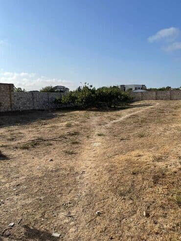 binə qəsəbəsi: 12 sot, Kupça (Çıxarış) — 2