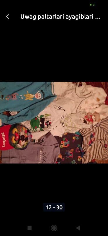 мейн кун купить в баку: Amerikan Shorthair, Erkək, Ünvandan götürmə — 9