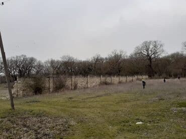 ferma icarəyə verilir: 25 sot, Tikinti, Mülkiyyətçi, Kupça (Çıxarış) — 6